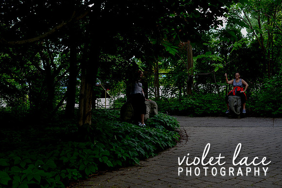 VLP_8315