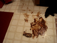 new puppies 003
