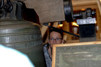 VLP_8281