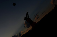 VLP_4248