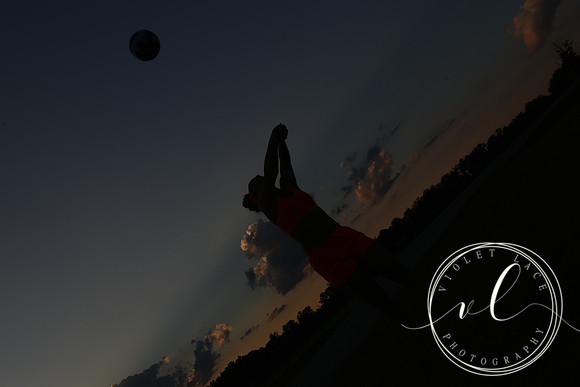 VLP_4248
