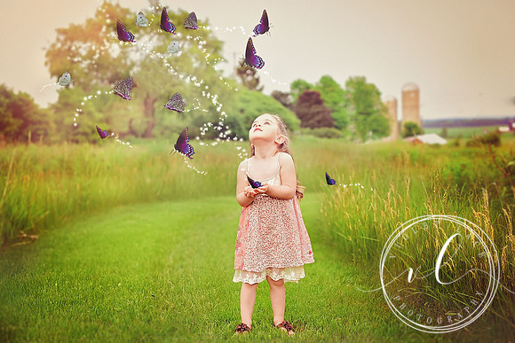 Mara's Butterfly