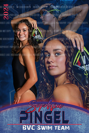 sophia banner