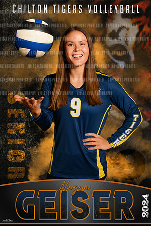 Alayna banner