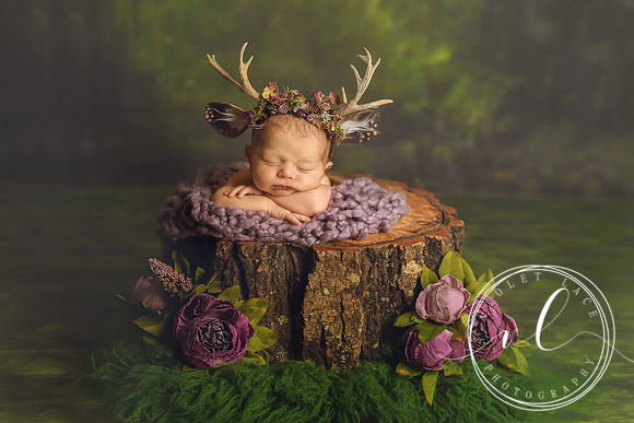 Newborn Girl, Violet Lace PHotograhy