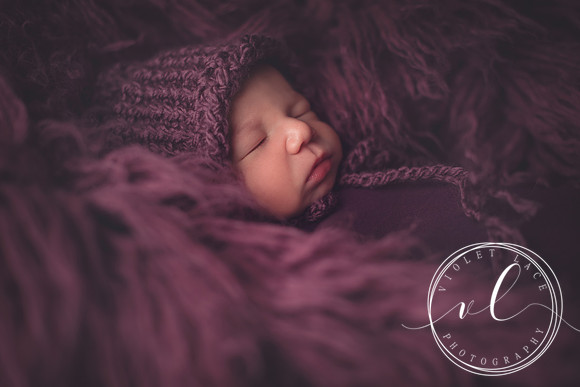 VLP_0442-4