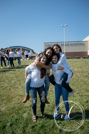 VLP_0599