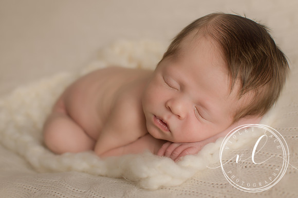 Violet Lace Photography, Newborn Photography (99)