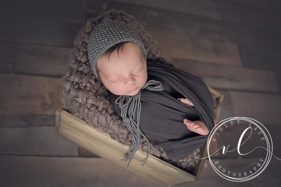 Violet Lace Photography, Newborn Photography (152)