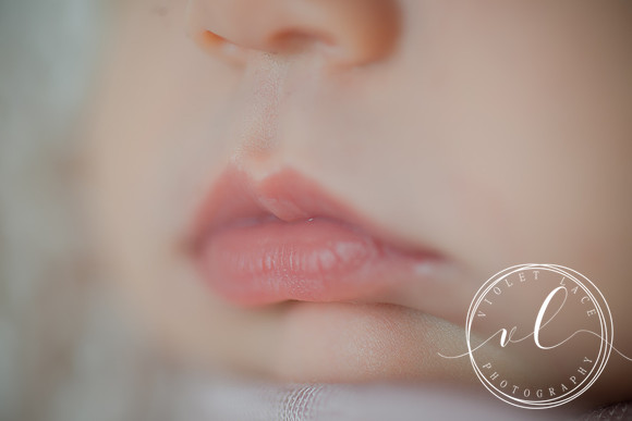 Violet Lace Photography, Newborn Photography (154)