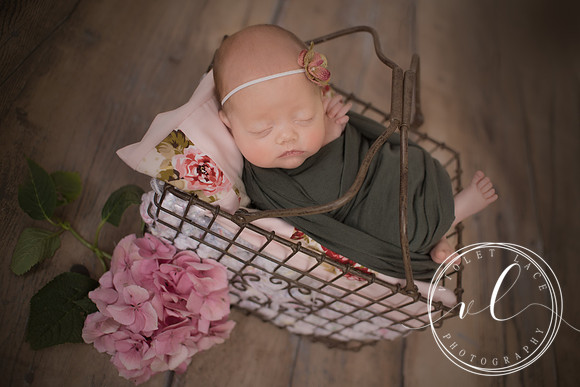 Violet Lace Photography, Newborn Photography (41)