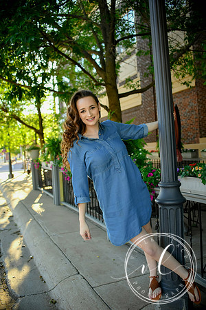 VLP_2527_1