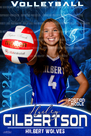 hailey banner